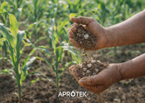journée mondiale de la terre